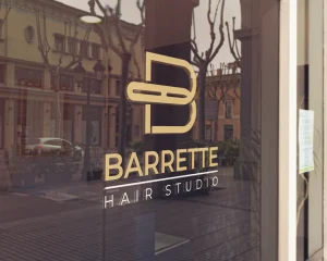barrette hair studio logo design banner portfolio